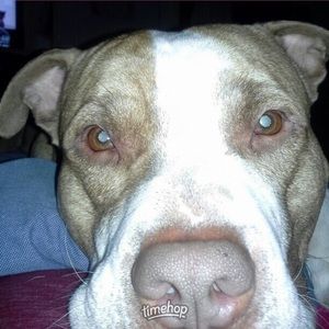 Meet your Posher, Renee